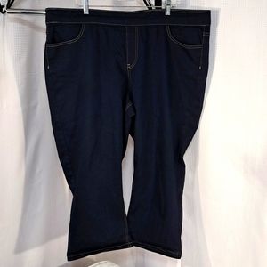 Blue Desire Jeans, Curvy 24W